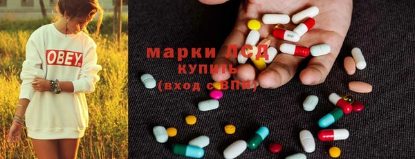 прущие грибы Магадан