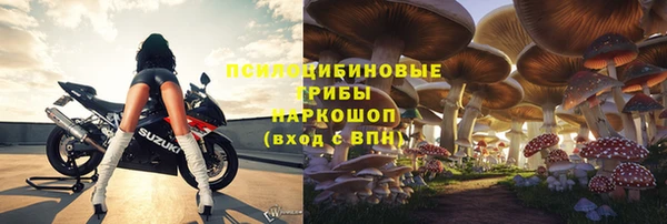 соль ск Мегион