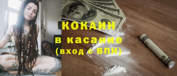 прущие грибы Магадан