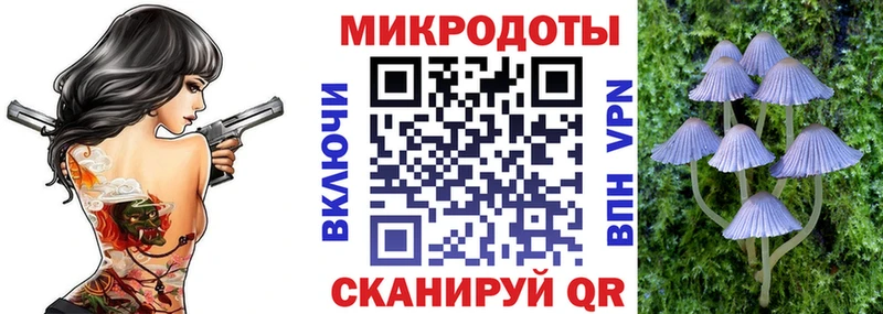 Псилоцибиновые грибы Magic Shrooms  Купить  Ленинск-Кузнецкий 